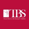 BALLET AUDITION: Teatrul de Balet Sibiu(シビウバレエ団）