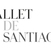 BALLET AUDITION：Ballet de Santiago(チリ国立バレエ団)