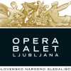 BALLET AUDITION: Slovenian National Theatre Opera and Ballet Ljubljana(スロベニア国立リュブリャナ歌劇場バレエ団)