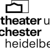 BALLET AUDITION : Theater Heidelberg(ハイデルベルク市立劇場バレエ団)